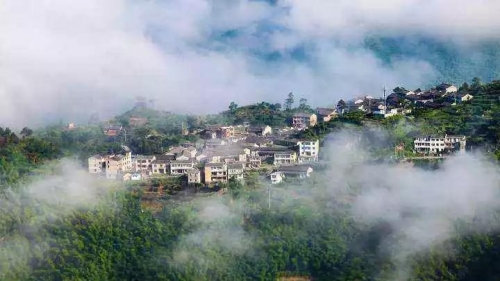 农康旅项目，策划才是灵魂！