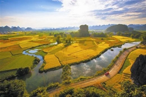 破局全域旅游，乡村旅游解围